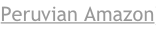 shapeimage_1_link_2